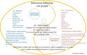 Balanserat ledarskap i projekt